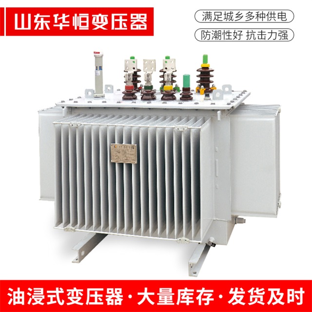 S13-10000/35红古红古红古电力变压器